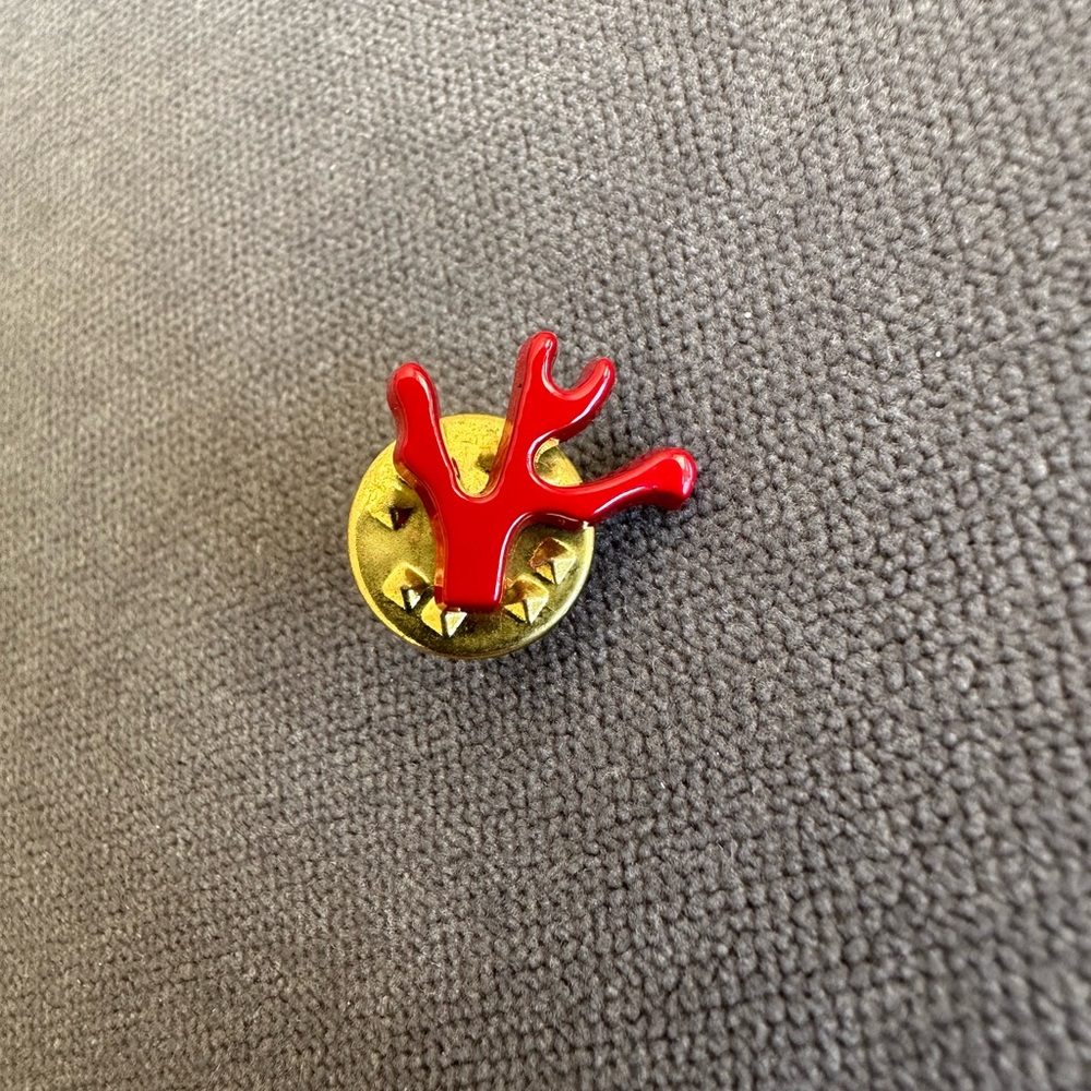 ISAIA | 🪸 Coral Pin - Free Shipping